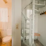 Dinora